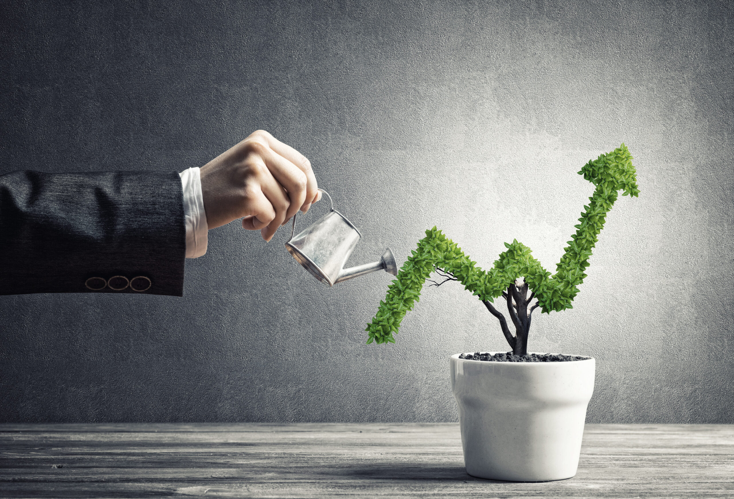 business man watering potted hedge shaped in an arrow